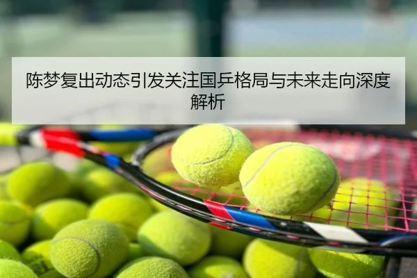 陈梦复出动态引发关注国乒格局与未来走向深度解析