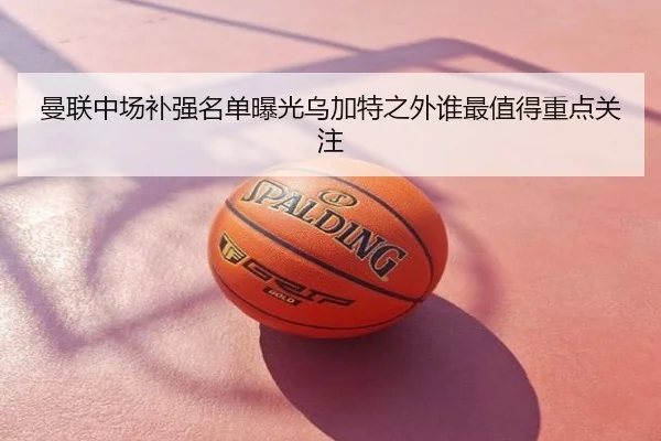 曼联中场补强名单曝光乌加特之外谁最值得重点关注