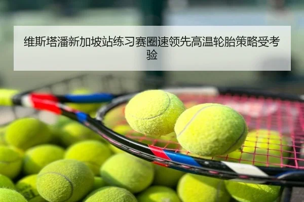 维斯塔潘新加坡站练习赛圈速领先高温轮胎策略受考验